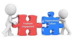 How Important Is The Culture Of A Company?