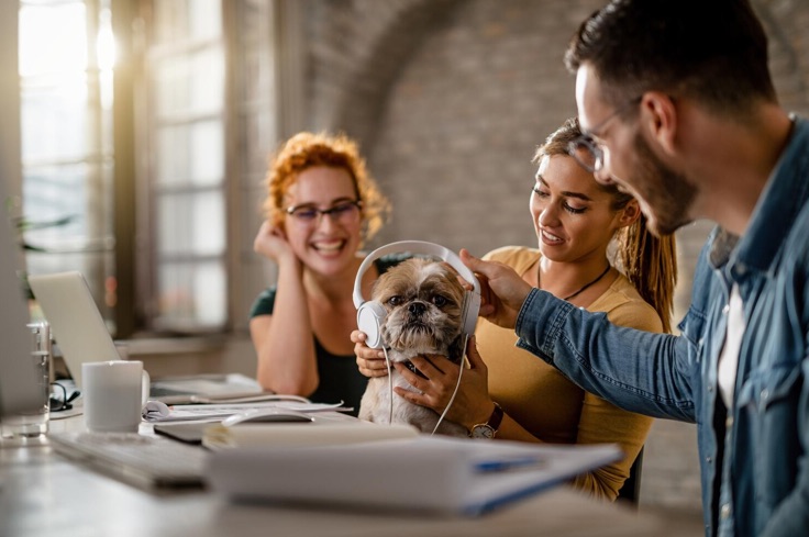 pet friendly office advanatges