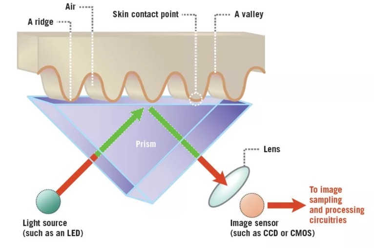 working of optical fingerprint sensor