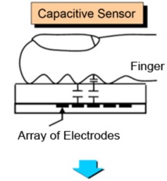 capacitive fingerprint sensor working